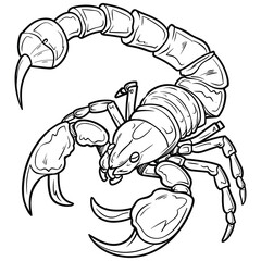 Detailed Scorpion Line Art Illustration