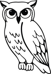 owl on white background