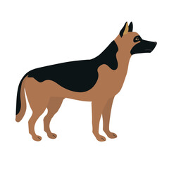 Vector flat hand drawn shepherd dog isolated on white background