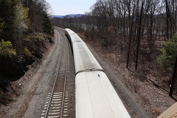 railroad tracks in the forest