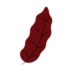 Isolated colored autumn winter leaf icon Vector