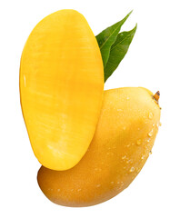 Single ripe yellow mango fruit and half with green leaves and water droplets in stack isolated on white background with clipping path