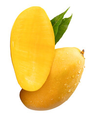 Single ripe yellow mango fruit and half with green leaves and water droplets in stack isolated with clipping path in png file format