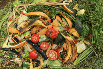 Compost pile, compost heap close up background texture. Bio waste, different vegetables, grass and...