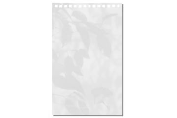 sheet of paper on a transparent background with a shadow of tree leaves