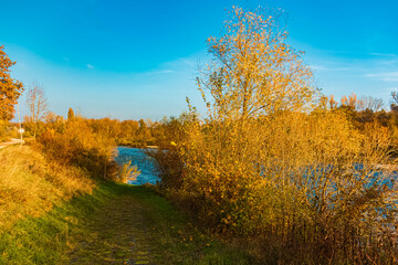 Autumn or indian summer view at Landau an der Isar, Dingolfing-Landau, Bavaria, Germany