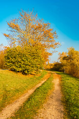 Autumn or indian summer view at Landau an der Isar, Dingolfing-Landau, Bavaria, Germany
