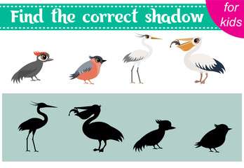 Brainteaser for kids. Zoo animals. Woodpecker, bullfinch, heron and pelican. Find the correct shadow. Educational cards. Activity for preschoolers and toddlers.