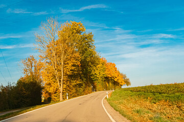 Obraz premium Autumn or indian summer view near Aholming, Deggendorf, Bavaria, Germany