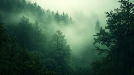 Whispers of the Woods: A tranquil, emerald forest shrouded in ethereal mist, where the towering trees vanish into the misty veil, evoking a sense of mystery and serenity. 