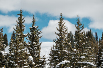 Vail Spring Ski Day in the Rocky Mountains