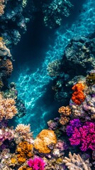 Fototapeta premium A vibrant underwater scene showcasing a stunning coral reef. Colorful corals thrive beneath crystal clear waters. Experience the beauty of marine life. Generative AI