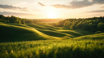 Obraz premium A vibrant untouched land with rich soil and lush grass.