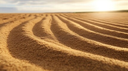 Naklejka premium A freshly tilled ground ready for new vegetable seeds.