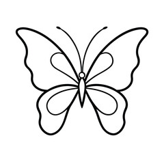 a delicate butterfly with symmetrical wings drawn,
