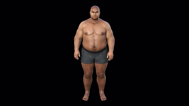 3D animation of a man transforming from overweight to a bodybuilder physique, symbolizing personal growth, discipline, and the impact of fitness and health on the human body.
