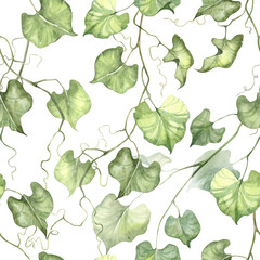 Square seamless pattern with ivy creeper plant. Watercolor hand painted green leaves background. Wallpapers and wrapping paper design