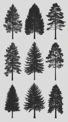 Obraz premium Nine Coniferous Tree Silhouettes in a Grid Pattern Against a Light Gray Background Representing Forest Diversity and Evergreen Nature