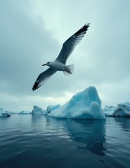 Fototapeta premium A seagull flying over a body of water with icebergs in the background