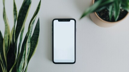 Smartphone appointment confirmation home office digital screenshot minimalist setting top-down view user experience