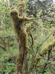 Along the Enchanted Path 