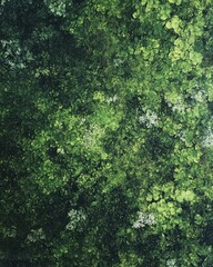 Fototapeta premium A vibrant green wall adorned with delicate white flowers and lush green leaves, creating a refreshing and serene atmosphere, perfect for a natural backdrop or garden setting.