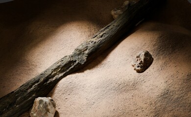 Desert scene with fallen log and stones