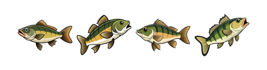 Set of Elegant Australian Bass Colorful Art Representation