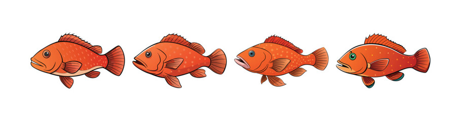 Fototapeta premium Set of Charming Coral Grouper in Colorful Coral Reef