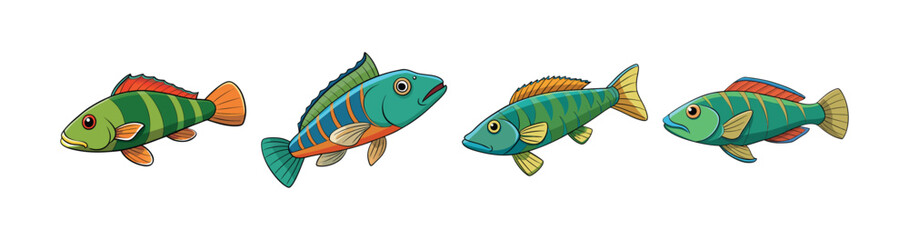 Set of Vivid Cuckoo Wrasse in Dynamic Marine Artwork