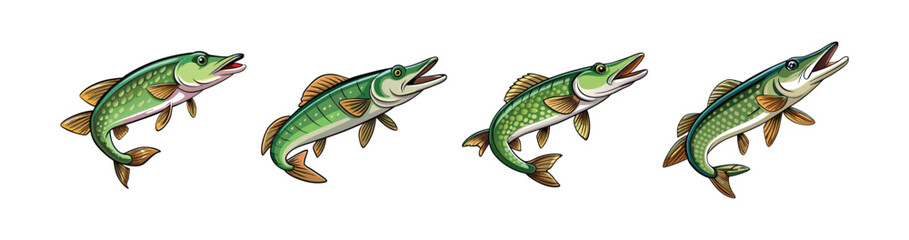 Set of Grass Pickerel with Attractive Realistic Colors