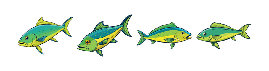 Set of  Mahi Mahi Colorful Realistic Fish Illustration