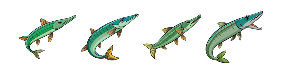 Set of  Longnose Gar Fish Stunning Realistic Color Illustration