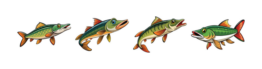 Set of Colorful Redfin Pickerel Illustration with Realistic Features