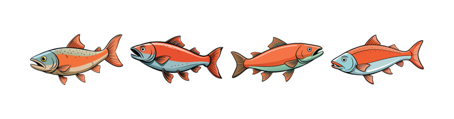 Set of  Realistic Wandering Salmon Fish Illustration with Bright Detail