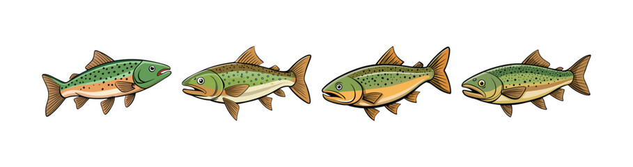 Set of  Colorful Wandering Trout Realistic Illustration with Bright Features