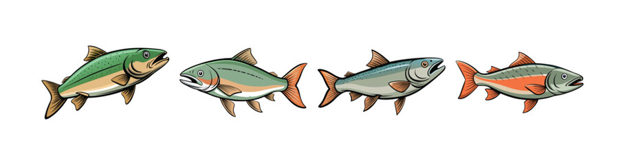 Set of Realistic Waterhead Salmon Illustration in Natural Habitat