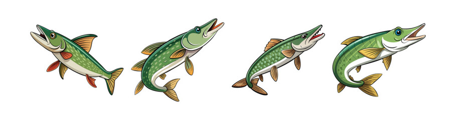 Set of Colorful Waterpike Fish Illustration with Intricate Detail