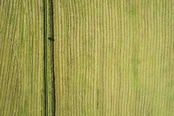 Top view mown meadow