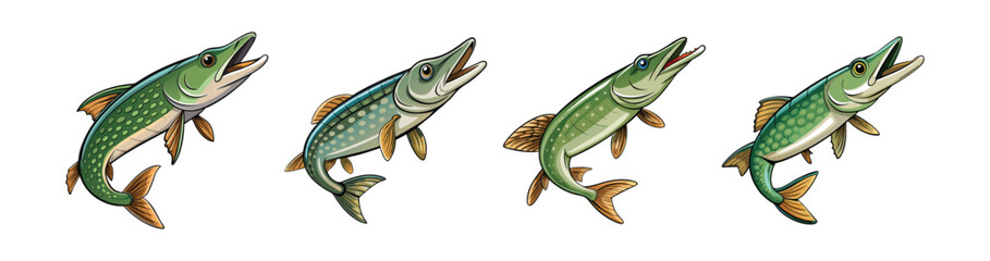 Set of  Vivid Wavyback Pike Fish Illustration with Realistic Colors