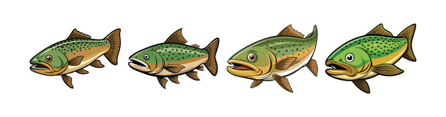 Fototapeta premium Set of Realistic Wearyhead Trout Illustration Featuring Bright Colors