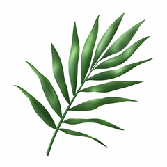 Naklejka premium Single green palm leaf with natural texture and tropical feel, perfect for botanical design, summer themes or nature graphics, isolated on transparent background