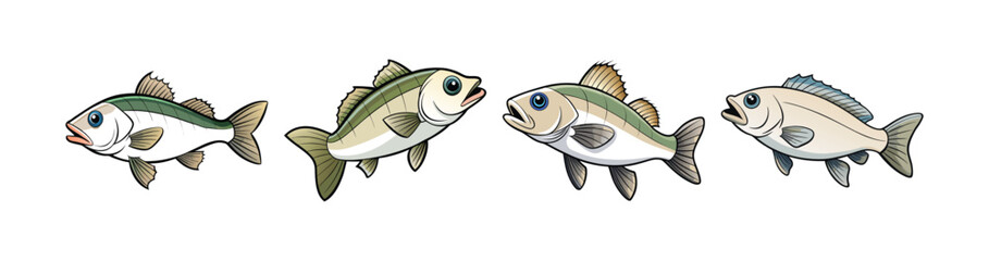 Set of  Colorful Whitefin Bass Fish Realistic Display