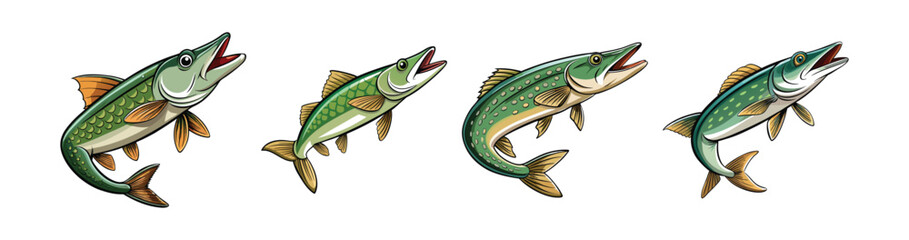 Set of Realistic Windcatch Pike Fish Color Art