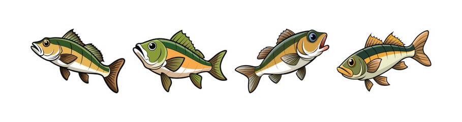 Set of Realistic Windfrond Bass Fish in Color