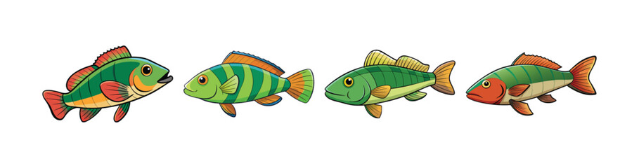 Set of  Elegant Wrassefish Realistic Art Presentation