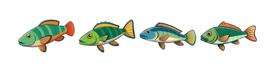 Set of  Vivid Wrasse Fish Stunning Aquatic Artwork