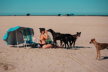Mujer con 5 perros en la playa