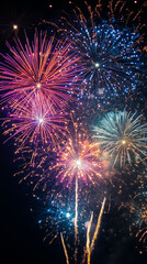 Obraz premium Wonderful vivid fireworks exploding on background of black night sky 
