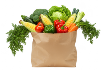 A brown paper grocery bag filled with a variety of fresh vegetables isolated on transparent background